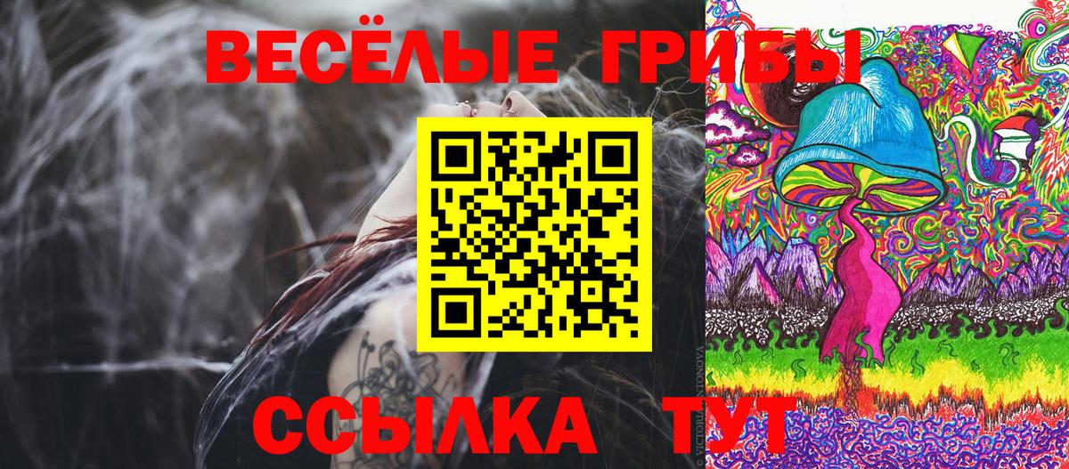 Псилоцибиновые грибы MAGIC MUSHROOMS Кунгур