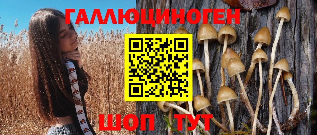Галлюциногенные грибы Magic Shrooms  Вход с VPN  Галлюциногенные грибы Cubensis  Кунгур 